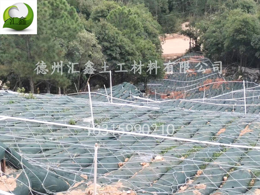 廣東汕頭山體護坡工程用生態袋